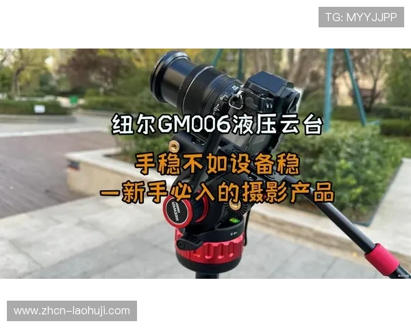 新手如何快速掌握老虎机怎么玩提升中奖几率的实用方法