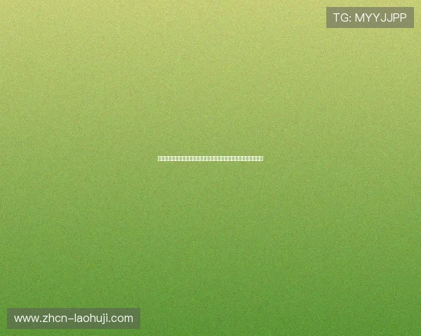 世界杯加拿大队与波黑队在进攻三区的数据分析与战术表现全面解析