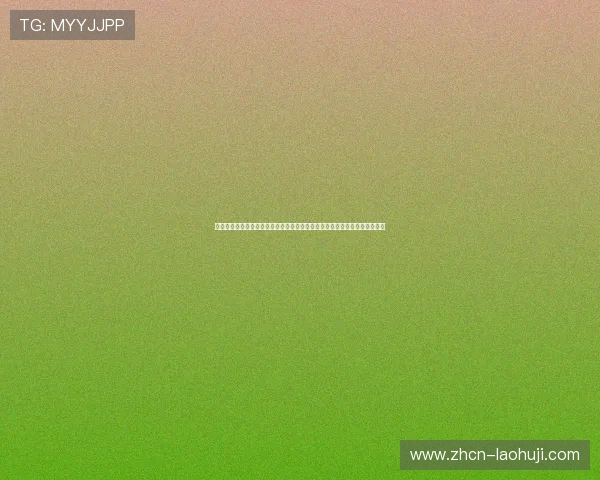 世界杯土耳其对巴拉圭比赛交通指南：如何规划最佳出行路线与交通工具选择